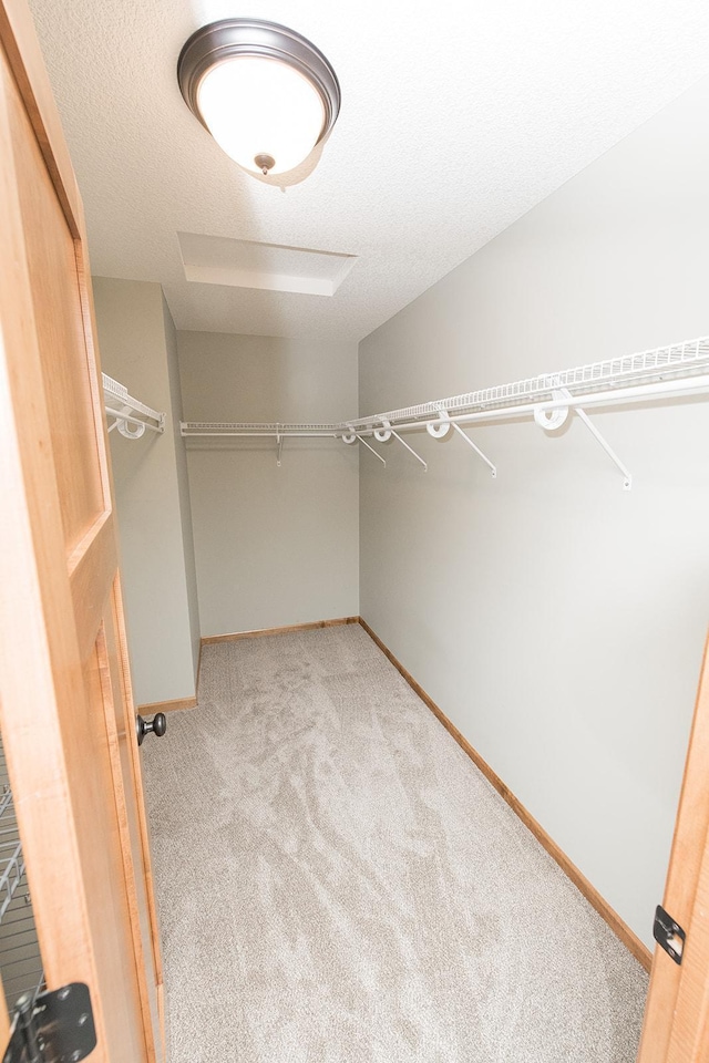 walk in closet with light carpet