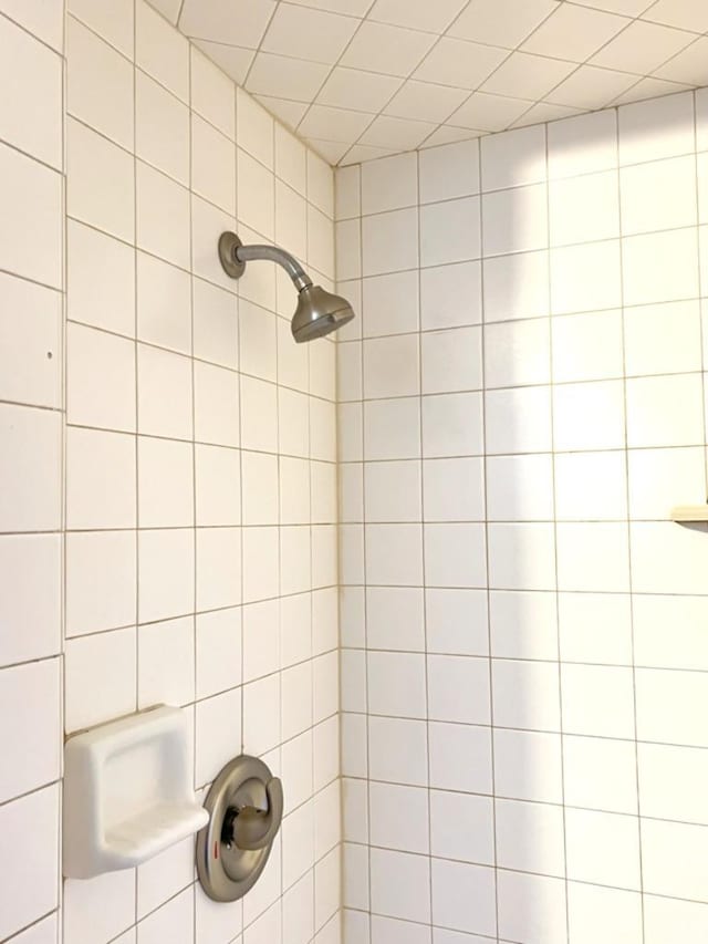 room details with tiled shower