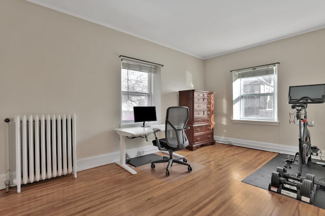 office space featuring a wealth of natural light, radiator heating unit, baseboards, and wood finished floors