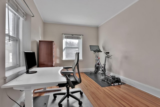 office area featuring wood finished floors, baseboards, and ornamental molding