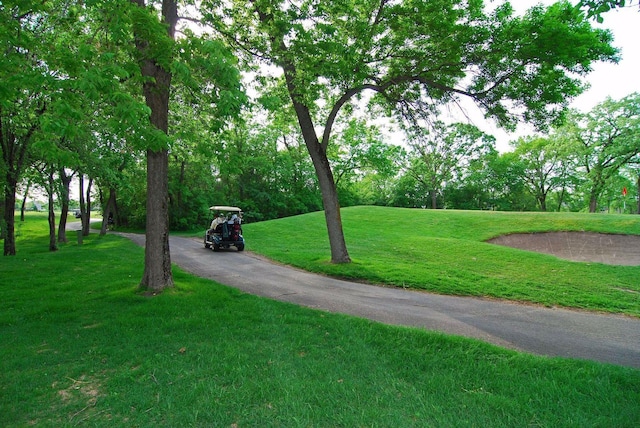 view of home's community featuring a lawn