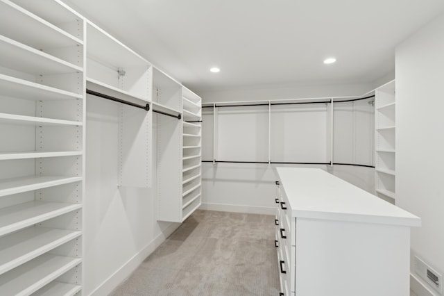 spacious closet with light carpet