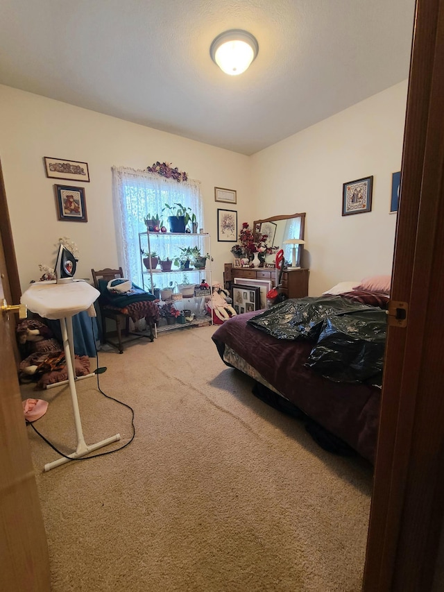 bedroom featuring carpet