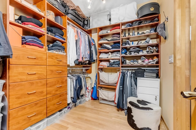 spacious closet with light hardwood / wood-style floors