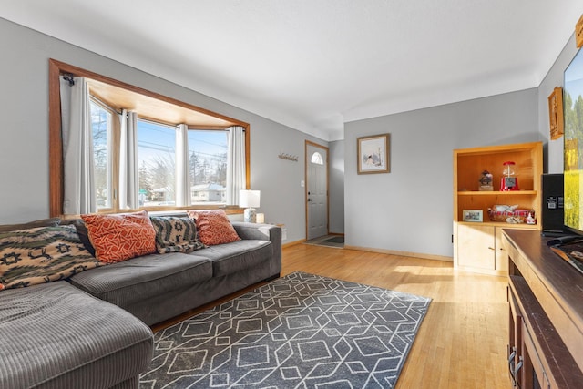 living room featuring hardwood / wood-style floors