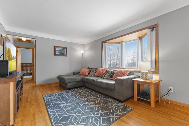 living room with hardwood / wood-style flooring