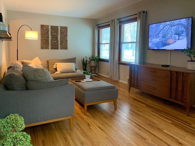 living room featuring light wood-type flooring