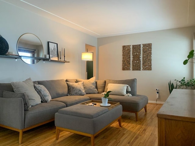 living room with hardwood / wood-style floors