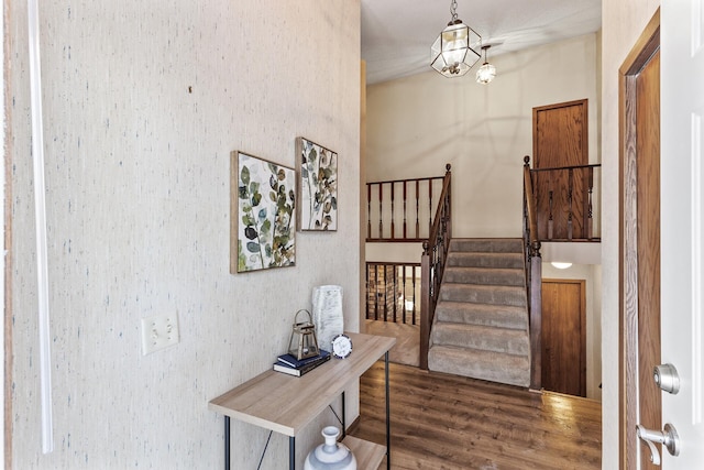 entryway featuring dark wood-type flooring