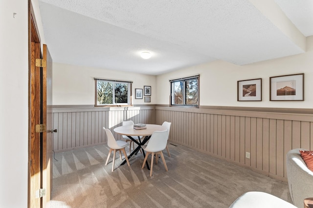 carpeted dining space featuring a wealth of natural light and a textured ceiling