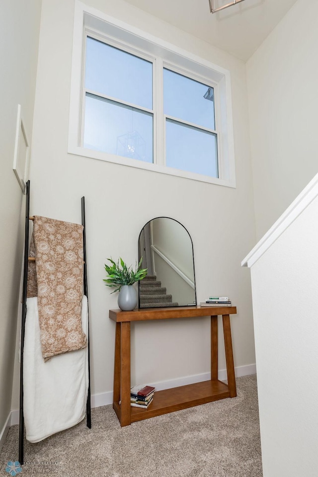 interior space featuring light carpet