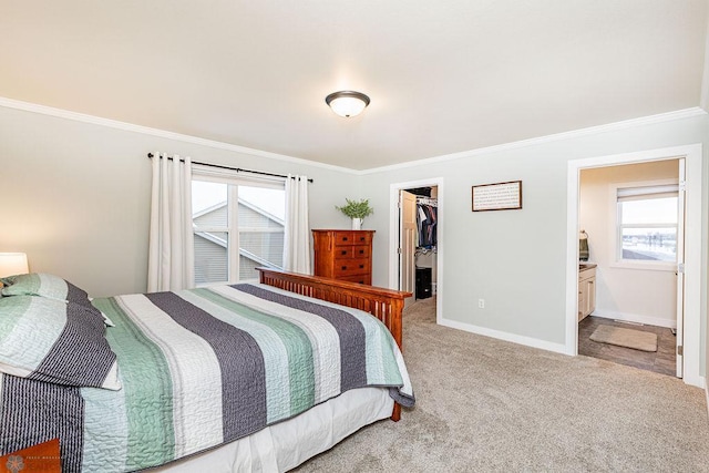 carpeted bedroom with a spacious closet, connected bathroom, a closet, and crown molding