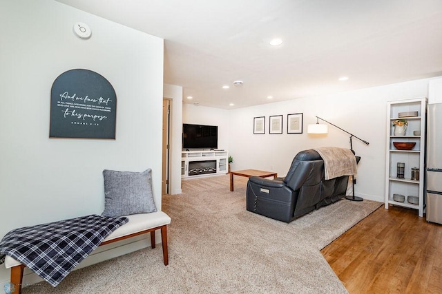 living room featuring hardwood / wood-style floors