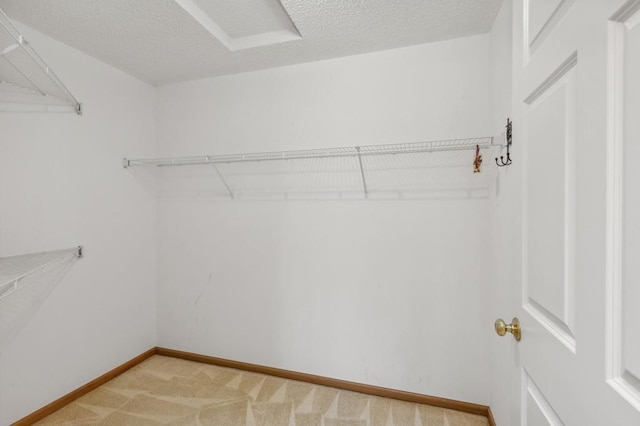 spacious closet featuring light colored carpet