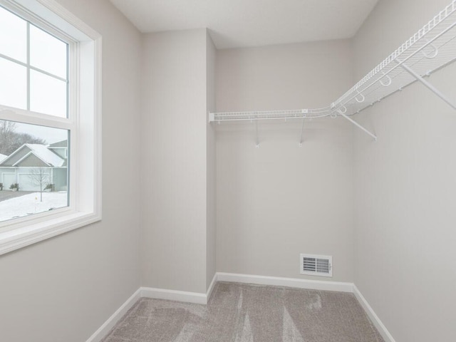 spacious closet with carpet floors