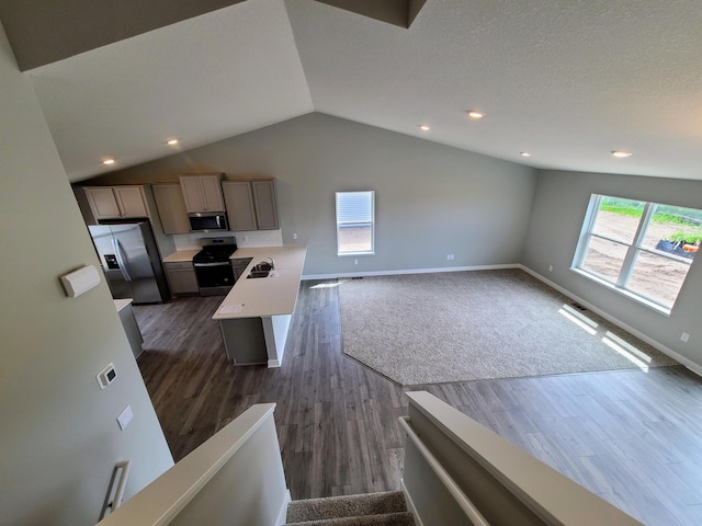 kitchen with dark hardwood / wood-style flooring, a healthy amount of sunlight, and appliances with stainless steel finishes