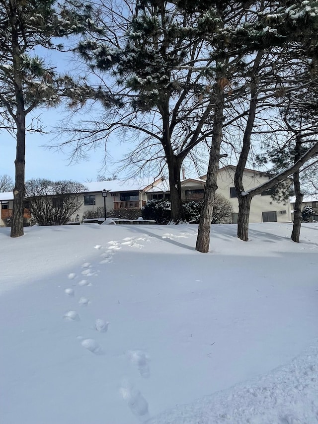 view of snowy yard