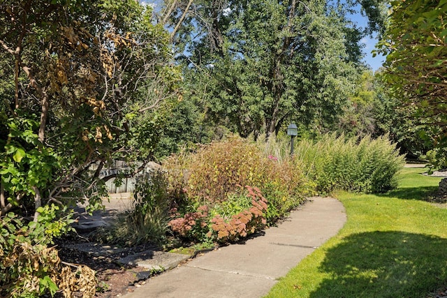 view of community with a lawn