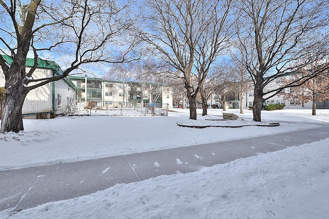 view of snowy yard