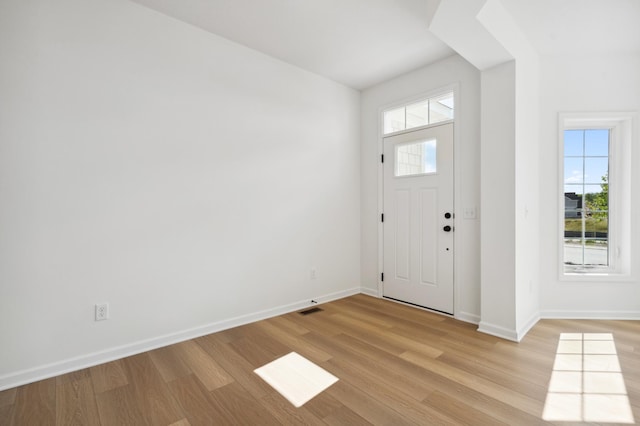 foyer featuring light wood-type flooring and a wealth of natural light