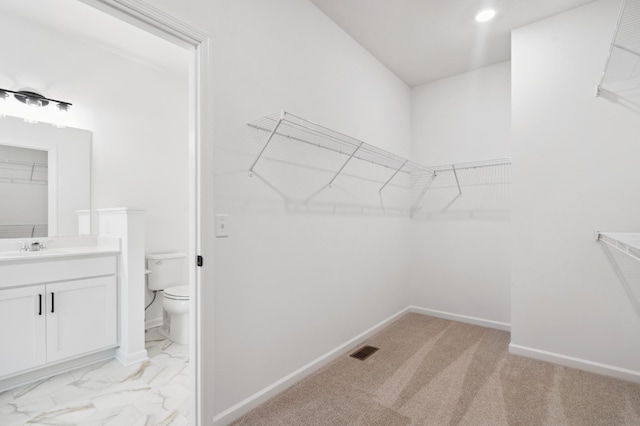 spacious closet with sink