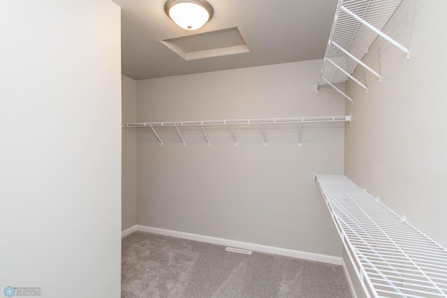 walk in closet with carpet flooring