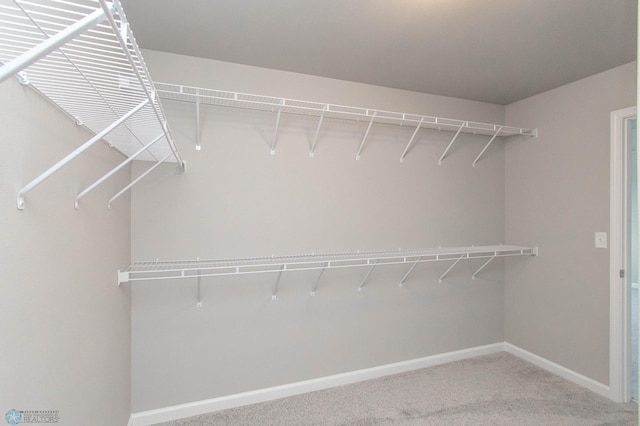 walk in closet featuring carpet