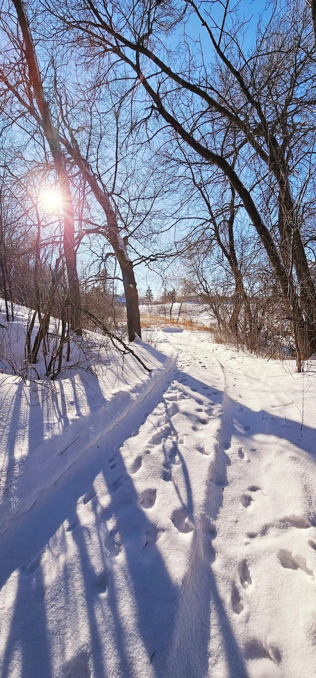 view of yard layered in snow