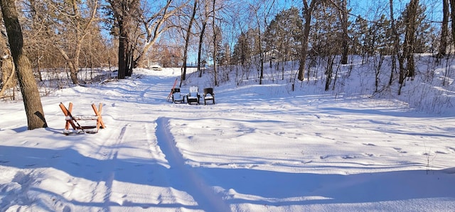 view of yard covered in snow