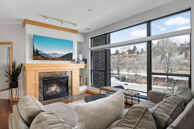 living room with track lighting, hardwood / wood-style flooring, and a fireplace