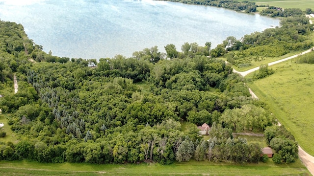 2026 Oliver Ave SW, Cokato Twp, MN 55321 - photo 4