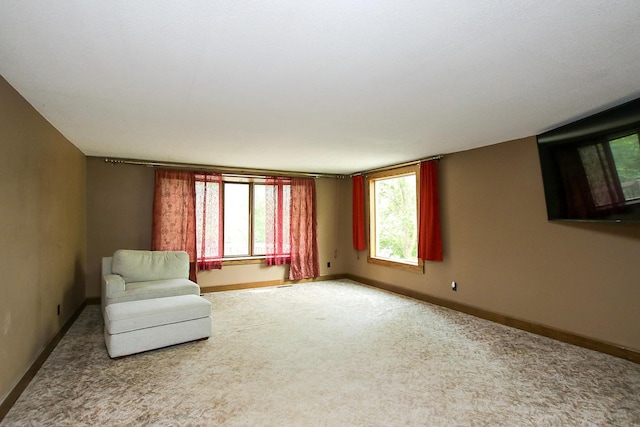 2026 Oliver Ave SW, Cokato Twp, MN 55321 - photo 15