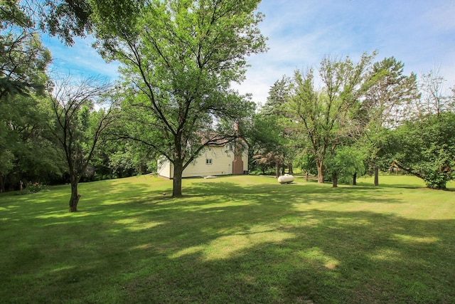 2026 Oliver Ave SW, Cokato Twp, MN 55321 - photo 32