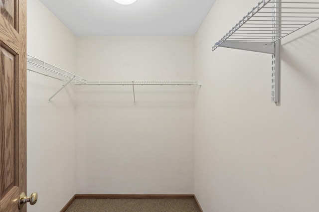 walk in closet with carpet