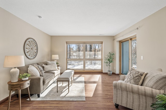 living room with a textured ceiling and hardwood / wood-style flooring