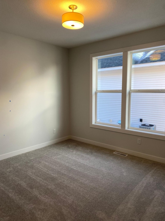 empty room featuring plenty of natural light and carpet flooring