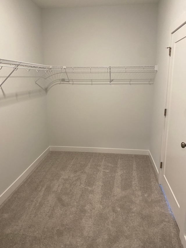 walk in closet with carpet