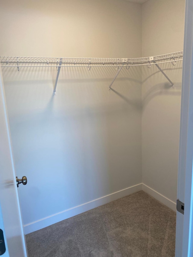 spacious closet with dark colored carpet