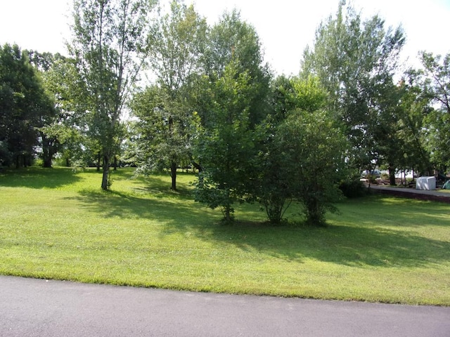 Listing photo 3 for LOT10 Ann River Dr, Mora MN 55051