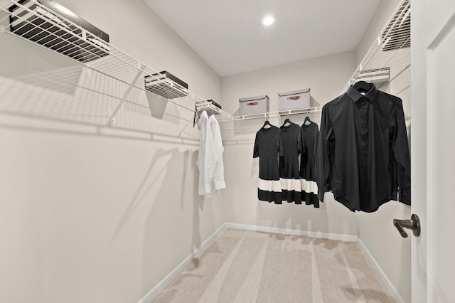 spacious closet featuring carpet floors