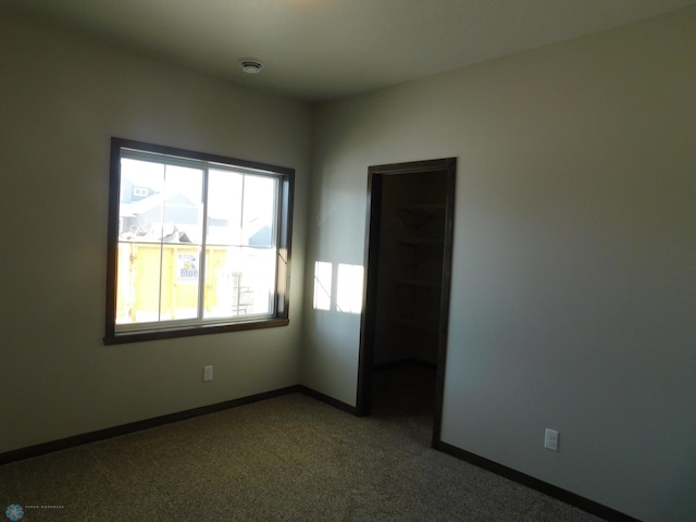 empty room featuring carpet floors