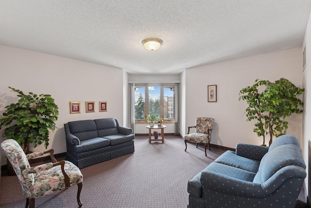 living room featuring carpet, a textured ceiling, and baseboards
