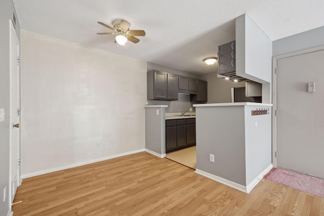 kitchen featuring a textured ceiling, light hardwood / wood-style floors, sink, ceiling fan, and dark brown cabinets