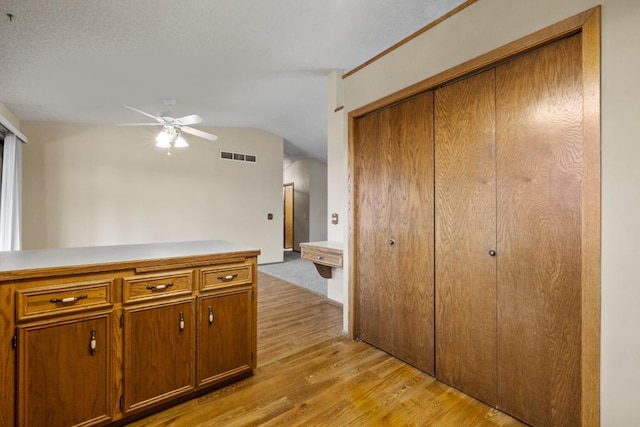 interior space featuring light hardwood / wood-style floors and vaulted ceiling