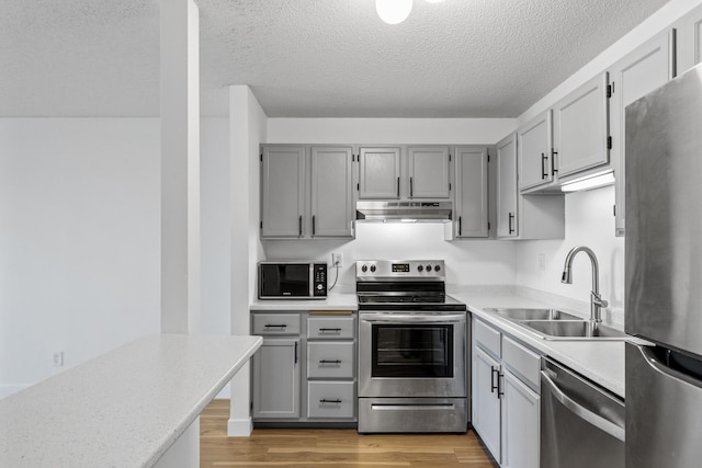 kitchen featuring a textured ceiling, gray cabinetry, sink, light wood-type flooring, and stainless steel appliances