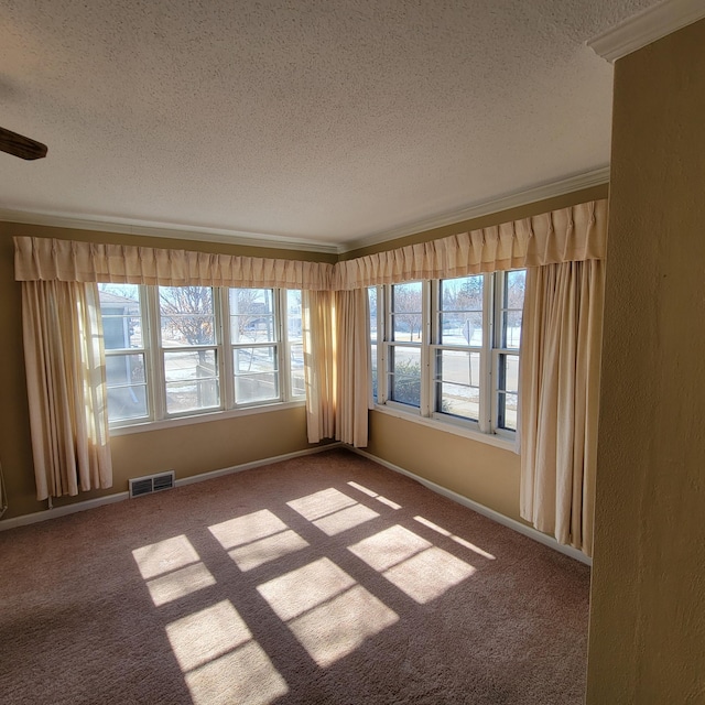 404 Vine St, Fergus Falls, MN 56537 - spare room featuring visible vents, baseboards, carpet floors, and a textured ceiling