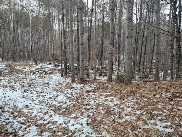 view of snowy landscape