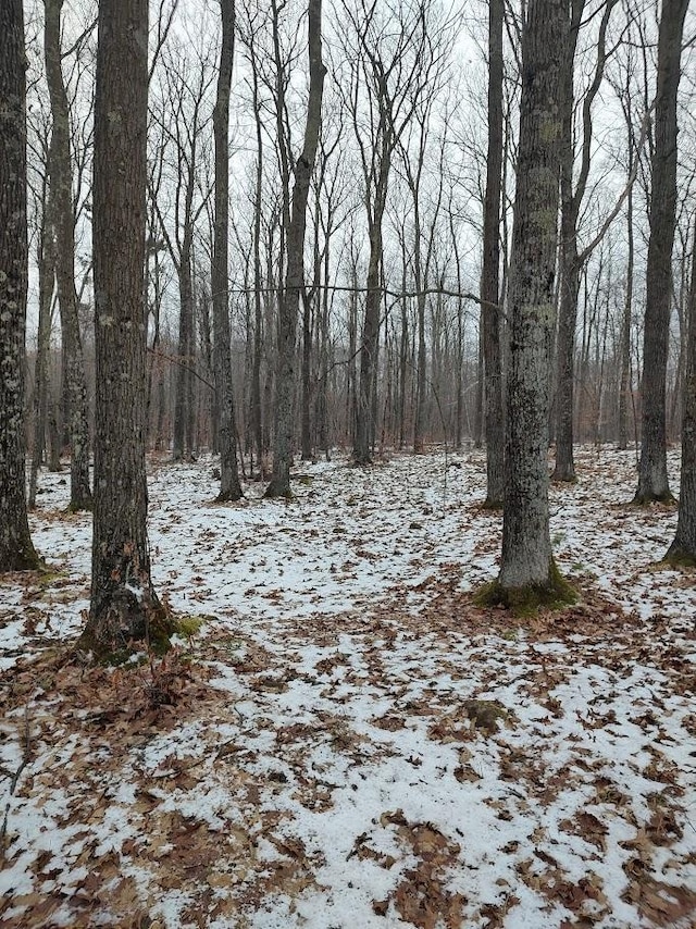 view of snow covered land