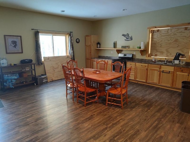 dining space featuring sink and dark wood-type flooring