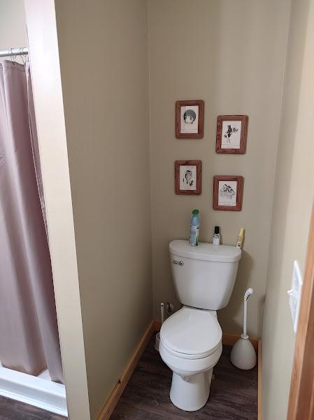 bathroom featuring hardwood / wood-style floors and toilet